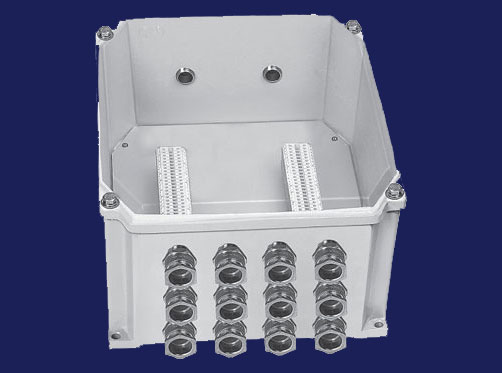 Flame Proof Enclosure